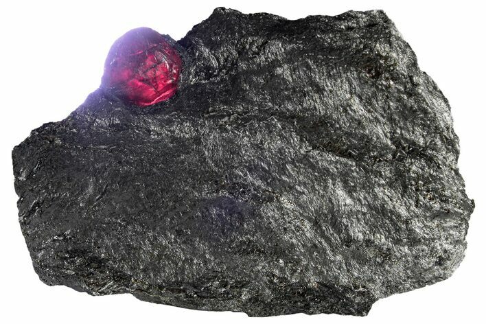 Red Embers Garnet in Graphite - Massachusetts #313547